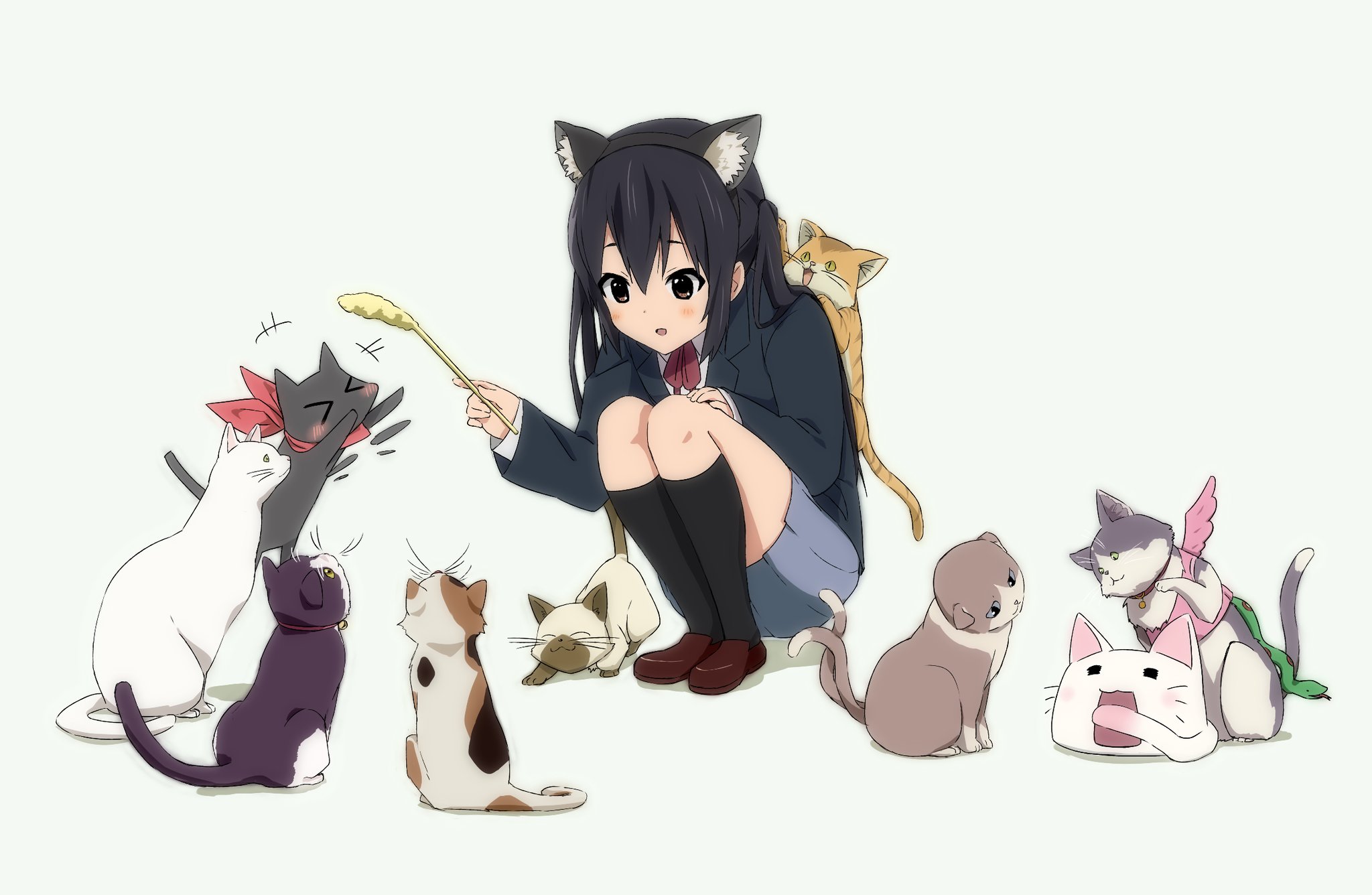 あずにゃんと京アニ猫たち.jpg